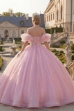 Pink Halter Neck Ball Gown Beaded Corset Quinceanera Dress with Puff Sleeves