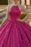 Sparkly Fuchsia Halter Neck Ball Gown Sequins Quinceanera Dress