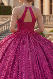 Sparkly Fuchsia Halter Neck Ball Gown Sequins Quinceanera Dress