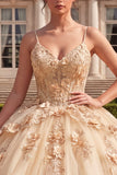 Champagne Ball Gown Corset Lace Up Back Quinceanera Dress with 3D Flowers