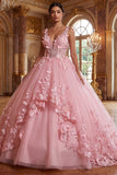 Pink Wide Straps Ball Gown Appliqued Quinceanera Dress with 3D Butterflys