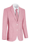Notch Lapel Light Blue Stripe Single Breasted Men's Jacket