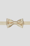 Black Men's Party Bow Ties