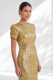 Sparkly Golden Mermaid Short Sleeves Sequin Long Mother Of the Bride Dress