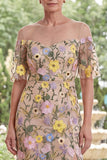 Champagne Embroidered Illusion Neck Sheath Long Mother Of the Bride Dress with Slit