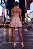 A-Line Pink Halter Neck Corset Floral Sequins Homecoming Dress with Appliques