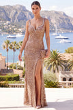 Champagne Mermaid Sparkly Sequin Maxi Dress with Slit