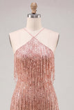 Dusty Rose Bodycon Sequins Mini Cocktail Dress with Fringes