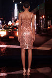 Bodycon Sheer Corset Coffee Sequins Short Cocktail Dress