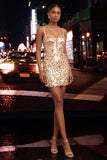 Sparkly Green Corset Bodycon Lace Up Back Short Party Dress with Sequins