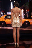 Sparkly Green Corset Bodycon Lace Up Back Short Party Dress with Sequins