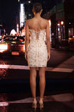 Sweetheart Corset Blush Bodycon Ruched Lace Up Back Cocktail Party Dress