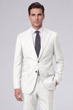 Dark Navy Peak Lapel 2 Piece One Button Men's Business Suits