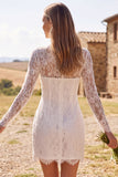 Ivory Bodycon Illusion Neck Long Sleeves Lace Short Bridal Shower Dress