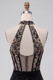 Black Corset Halter Velvet Ruched Deep V-Neck Short Homecoming Dress with Embroidery