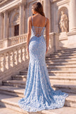 Light Blue Mermaid Corset Floral Appliques Spaghetti Straps Long Prom Dress