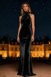 Purple Velvet Halter Sheath Long Evening Dress