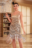 Golden Sparkly Fringes 1920s Dress with Accessories Set
