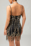 Black Golden Fringe Sequins 1920s Dress with 5-Piece Accessories Set