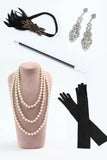 Black V-Neck Sequins Bodycon Midi 1920s Dress With 5-Piece Accessories Set