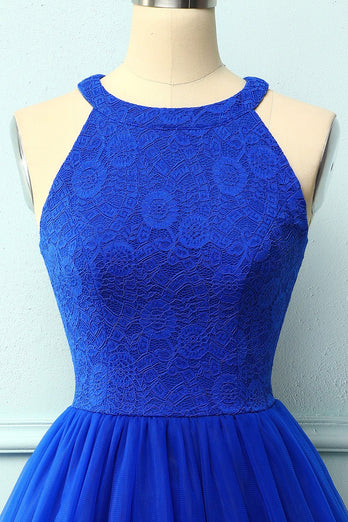 Royal Blue Halter Lace Dress