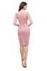 Load image into Gallery viewer, Blush Lace Bodycon Party Dress