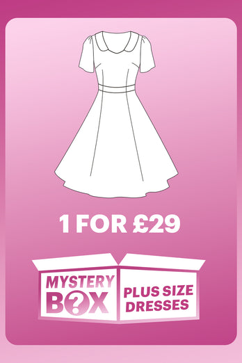 ZAPAKA MYSTERY BOX of 1Pc Plus Size Dress