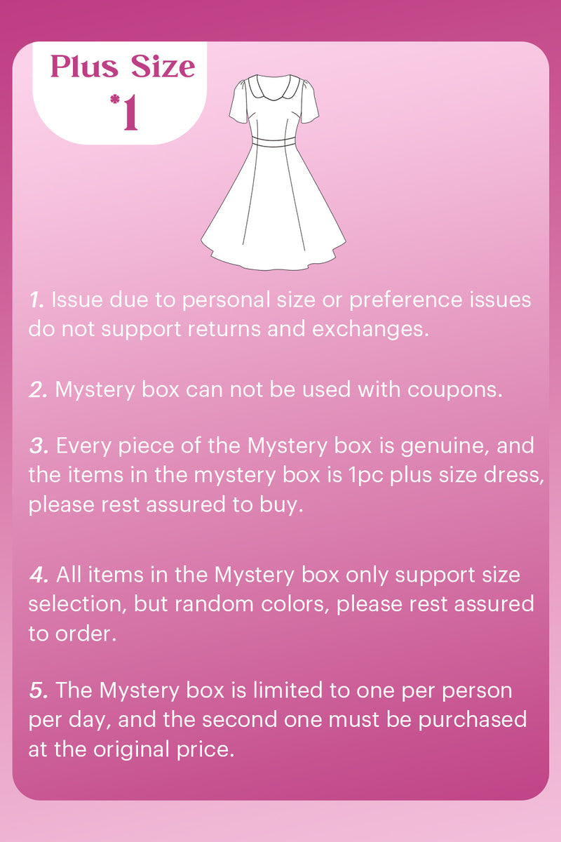 Load image into Gallery viewer, ZAPAKA MYSTERY BOX of 1Pc Plus Size Dress