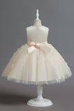 Champagne A Line Tulle Sleeveless Flower Girls' Party Dress With Bow