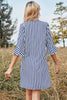 Load image into Gallery viewer, Navy Striped Summer Casual Dress