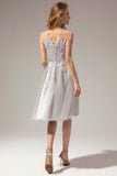 Short Lace Tulle Dress