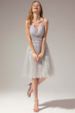 Short Lace Tulle Dress