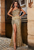 Load image into Gallery viewer, One Shoulder Golden Fringe Sequin Glitter Prom Dress With Slit