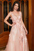 Load image into Gallery viewer, A-Line Spaghetti Straps Blush Long Prom Dress with Appliques