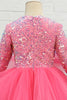 Load image into Gallery viewer, Fuchsia Tulle Sequins Flower Girl Dress