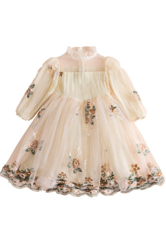 Apricot A Line Long Sleeves Embroidery Tulle Girl Dress