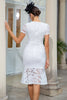 Load image into Gallery viewer, Sheath V Neck White Lace Dress