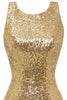 Load image into Gallery viewer, Bodycon Golden Sequins Cocktail Dress Open Back